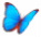 icone borboleta